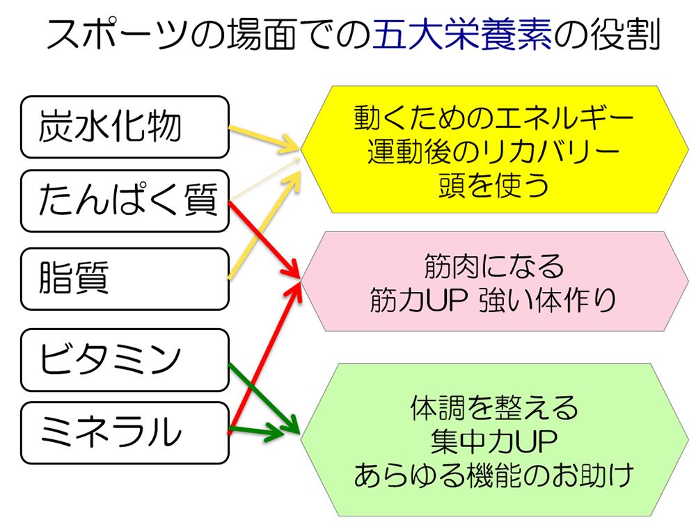 スポーツの場面での五大栄養素の役割｜日之出整骨院（ひのでせいこついん）｜スポーツ外傷・障害専門｜福井市日之出3丁目にある整骨院